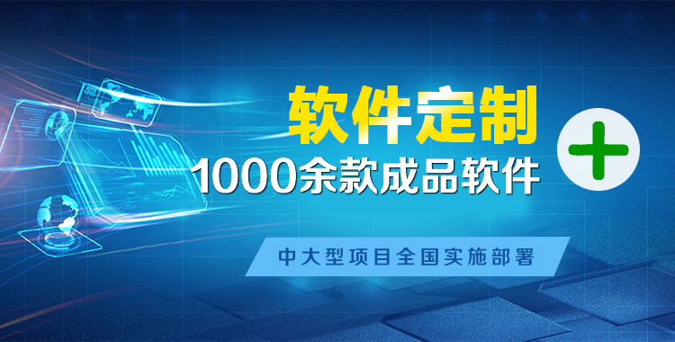 芦淞管理系统软件软件开发
